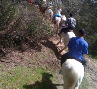 de ruta